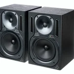 Behringer B2030A Truth Avis : Pourquoi les avoir (ou les éviter) dans votre studio