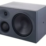 Neumann KH 310 A left Avis : Les pour et les contre du modèle en phase de mix