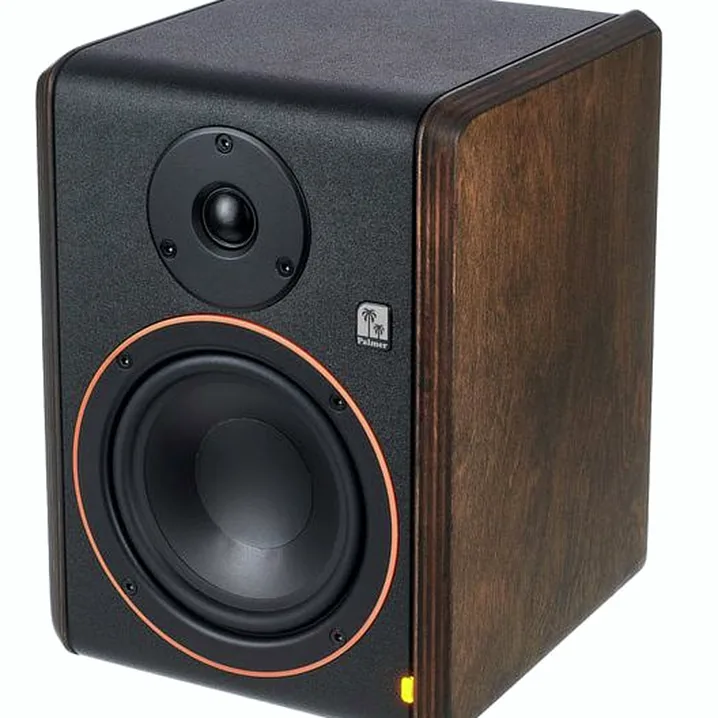 Palmer Studimon 5