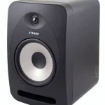 Tannoy Reveal 802 Avis : Sont-elles de bonnes enceintes pour votre home studio ?